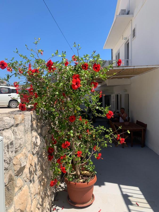 Apartments Nikola Stipisic Hvar Town Exteriör bild
