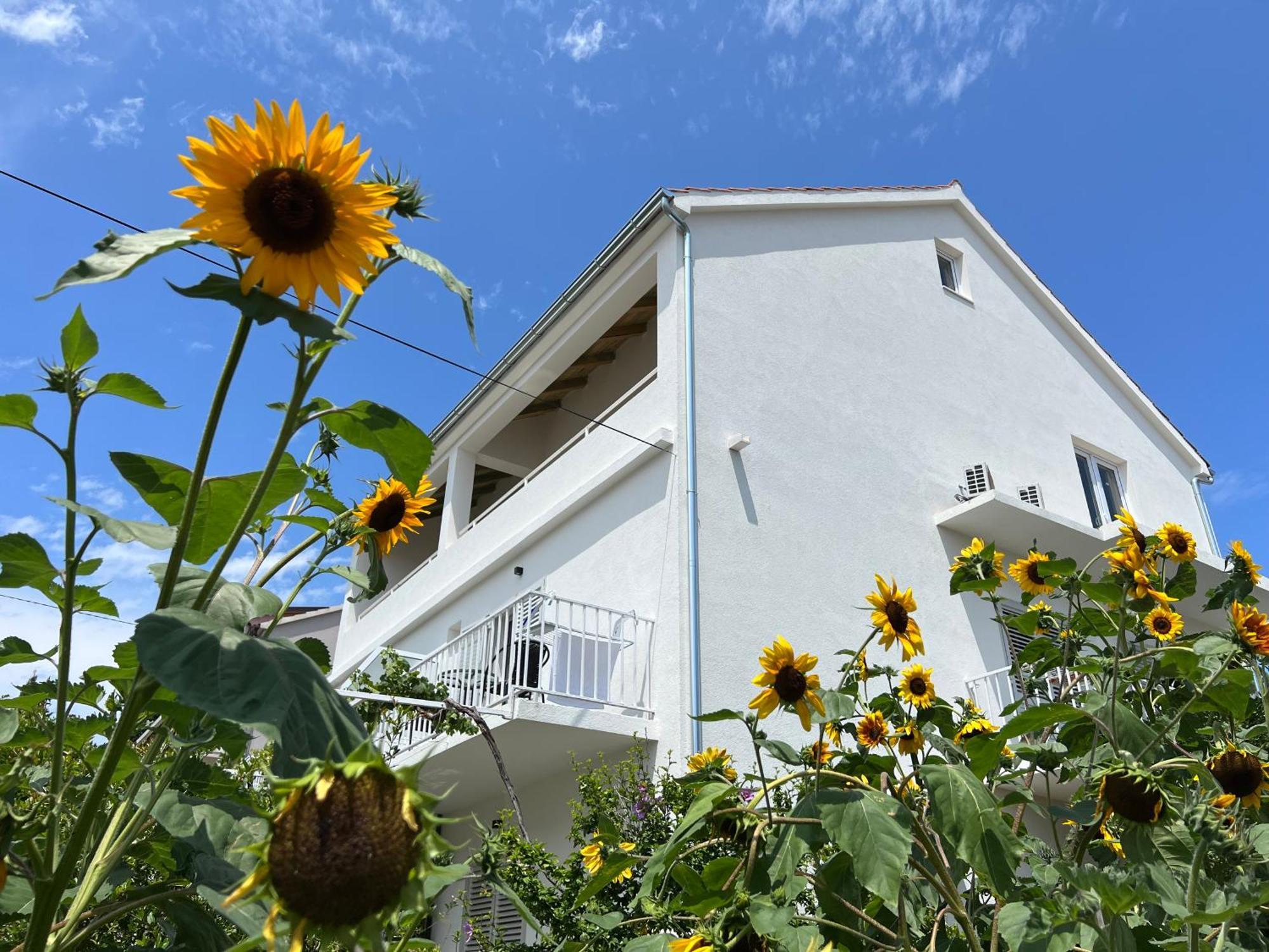 Apartments Nikola Stipisic Hvar Town Exteriör bild